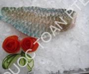 parrotfish-skinon